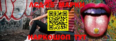 крисы Можга